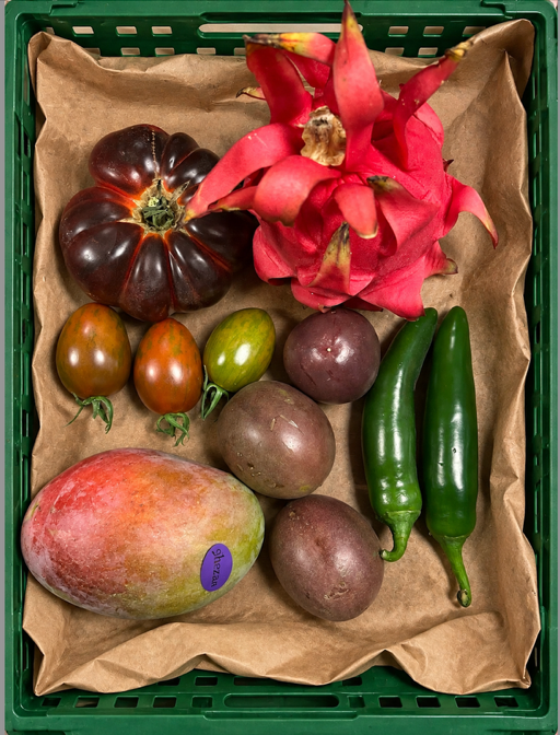 28 Fresh Harvest & Co.