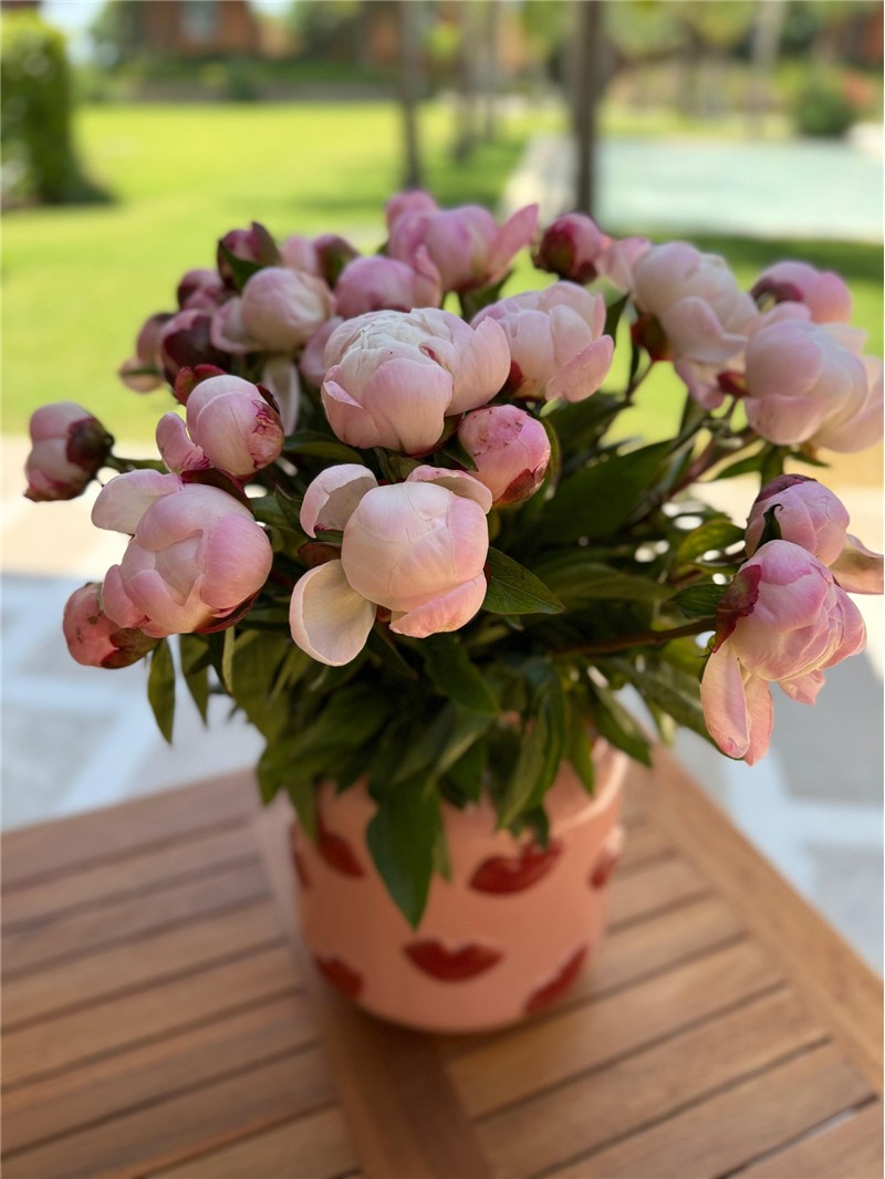 Fiona Flowers