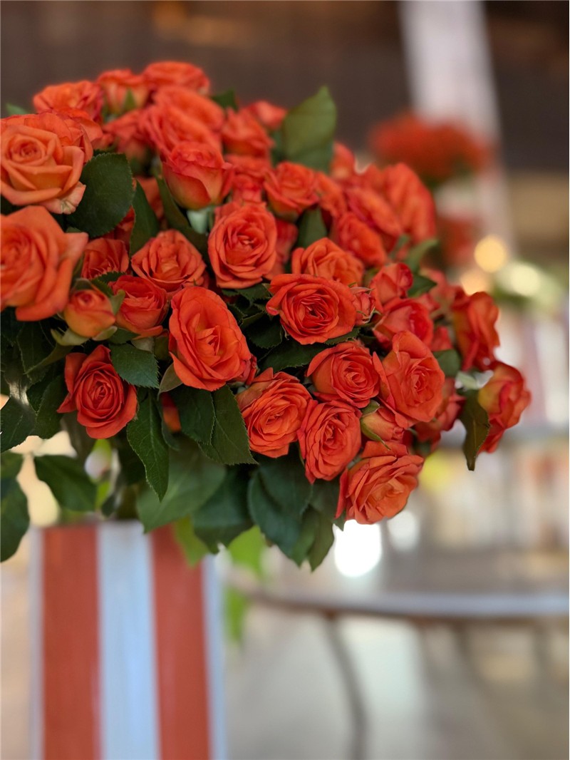 Fiona Flowers