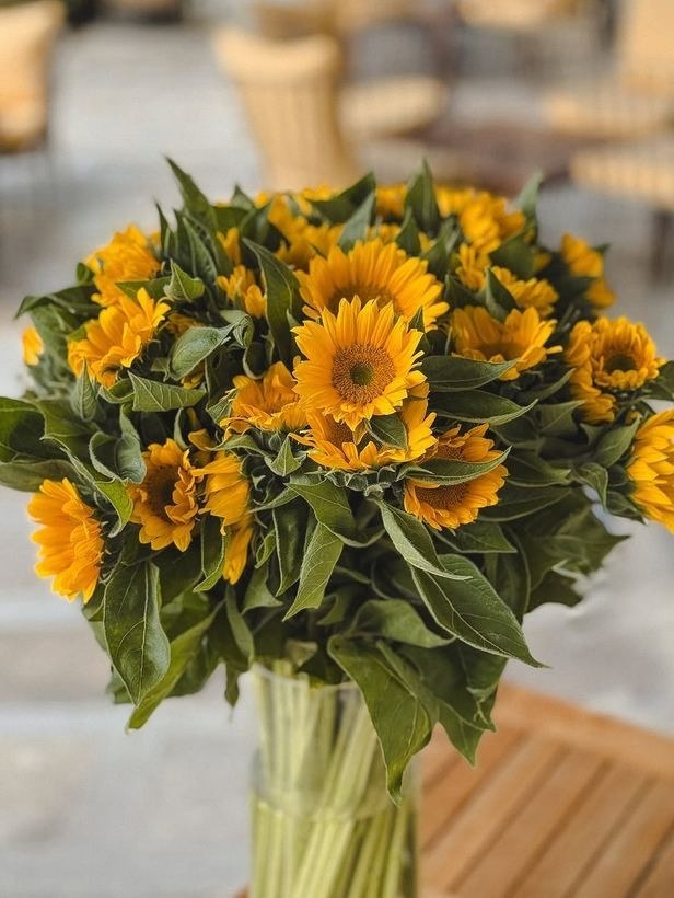 Fiona Flowers