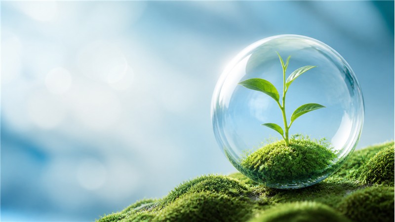 Sustainability
