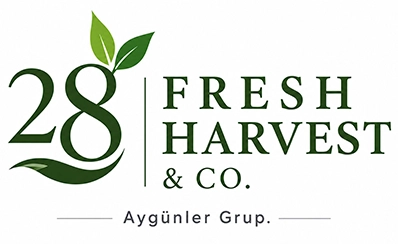 28 Fresh Harvest & Co. logosu
