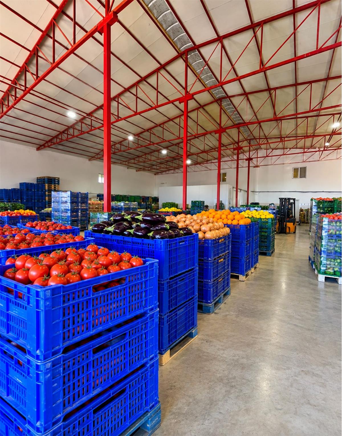 28 Fresh Harvest & Co.